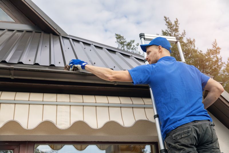 Preventative Gutter Care